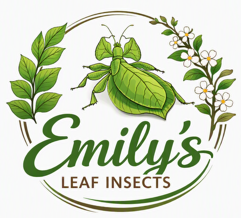 Emily's Leaf Insects Logo